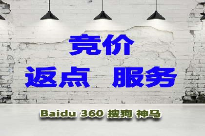 百度运营推广策略解析，看这些成功案例